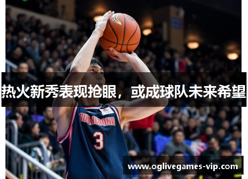 热火新秀表现抢眼，或成球队未来希望